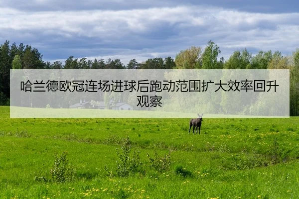 哈兰德欧冠连场进球后跑动范围扩大效率回升观察